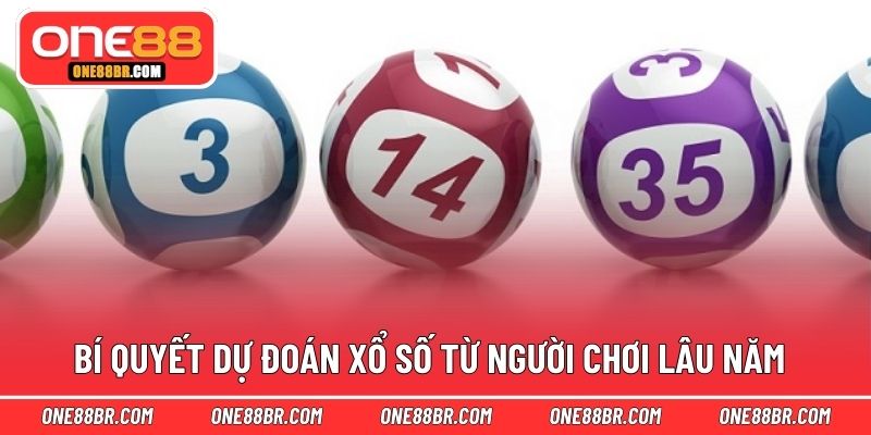 Bí quyết dự đoán xổ số từ người chơi lâu năm