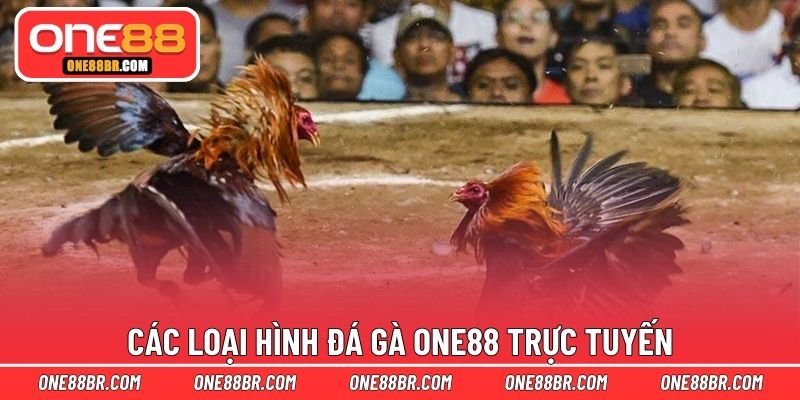 Các loại hình đá gà ONE88 trực tuyến