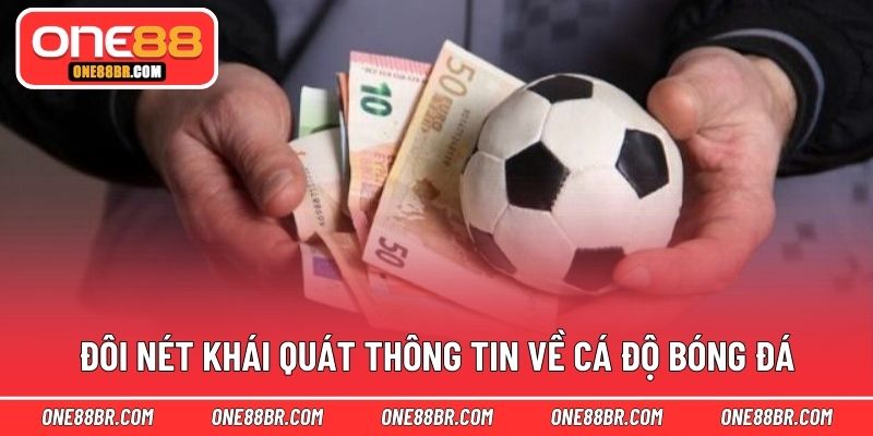 Đôi nét khái quát thông tin về cá độ bóng đá
