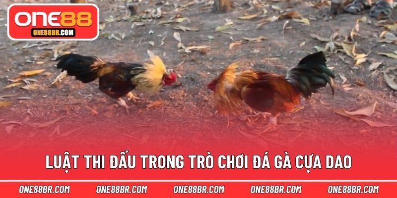 Luật thi đấu trong trò chơi đá gà cựa dao